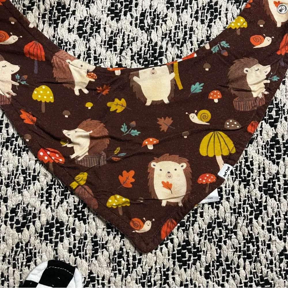 Little Sleepies Bamboo Bandana Bib Bundle of Three